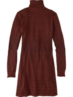 Synergy 2.0 Turtleneck Dress -Rab store 121005 02