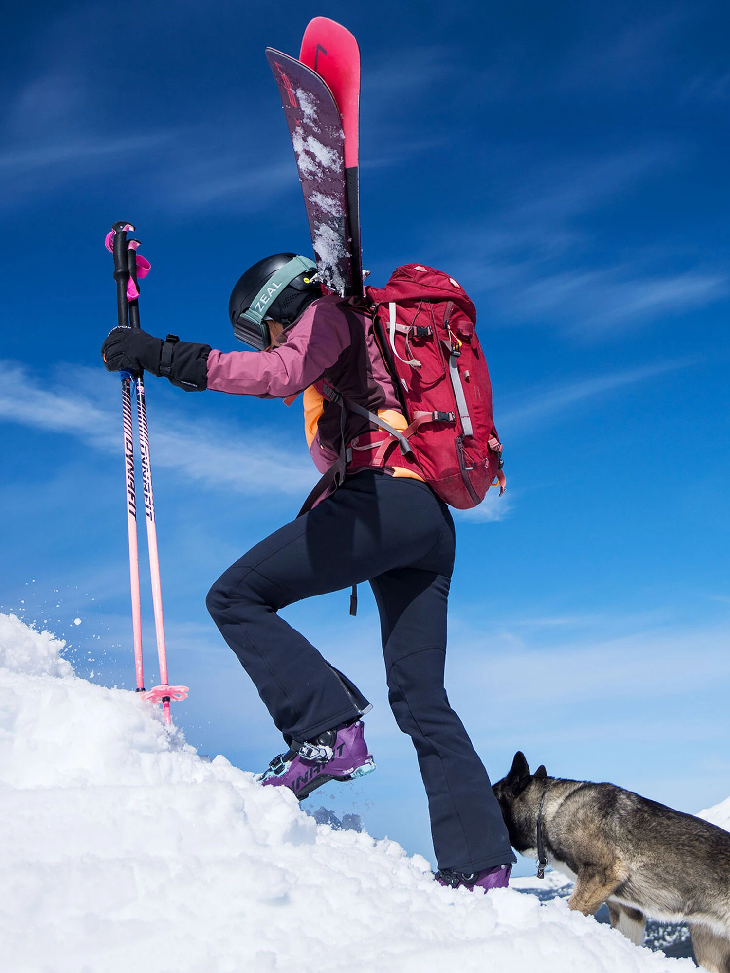 Valhalla Softshell Pants 8 Valhalla Softshell Pants - Image 6